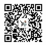 IMG_4111.PNG